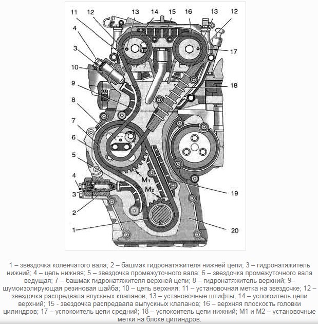 Механизм ГРМ двигателя 406
