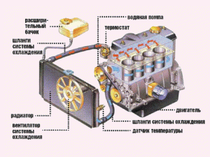 Принцип работы системы охлаждения КамАЗ 740